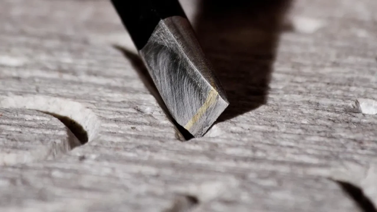 SommerStein_B_08_desktop_20220511_k_msr