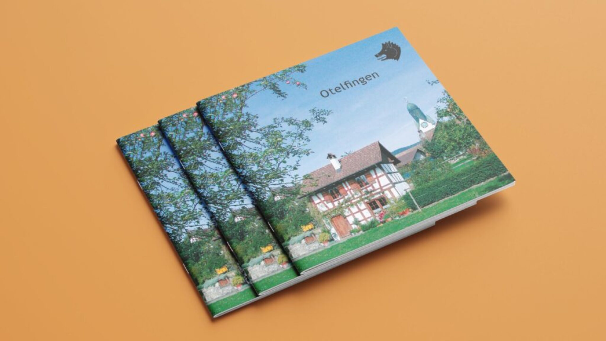 Otelfingen_B_06_desktop_20220511_g_msr