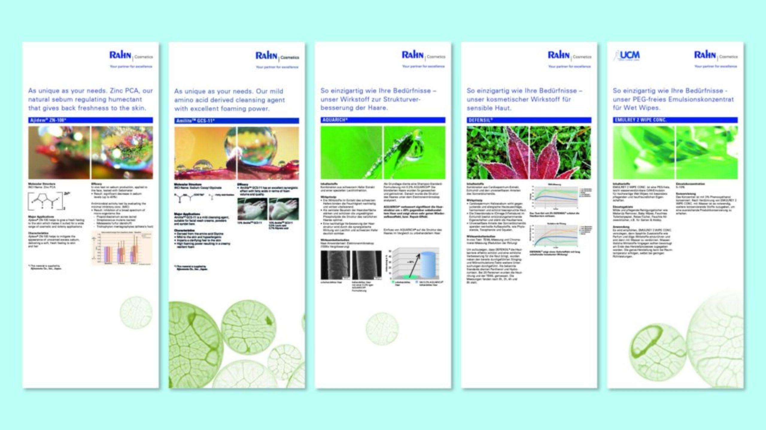 Rahn_B_10_desktop_20220512_g_msr