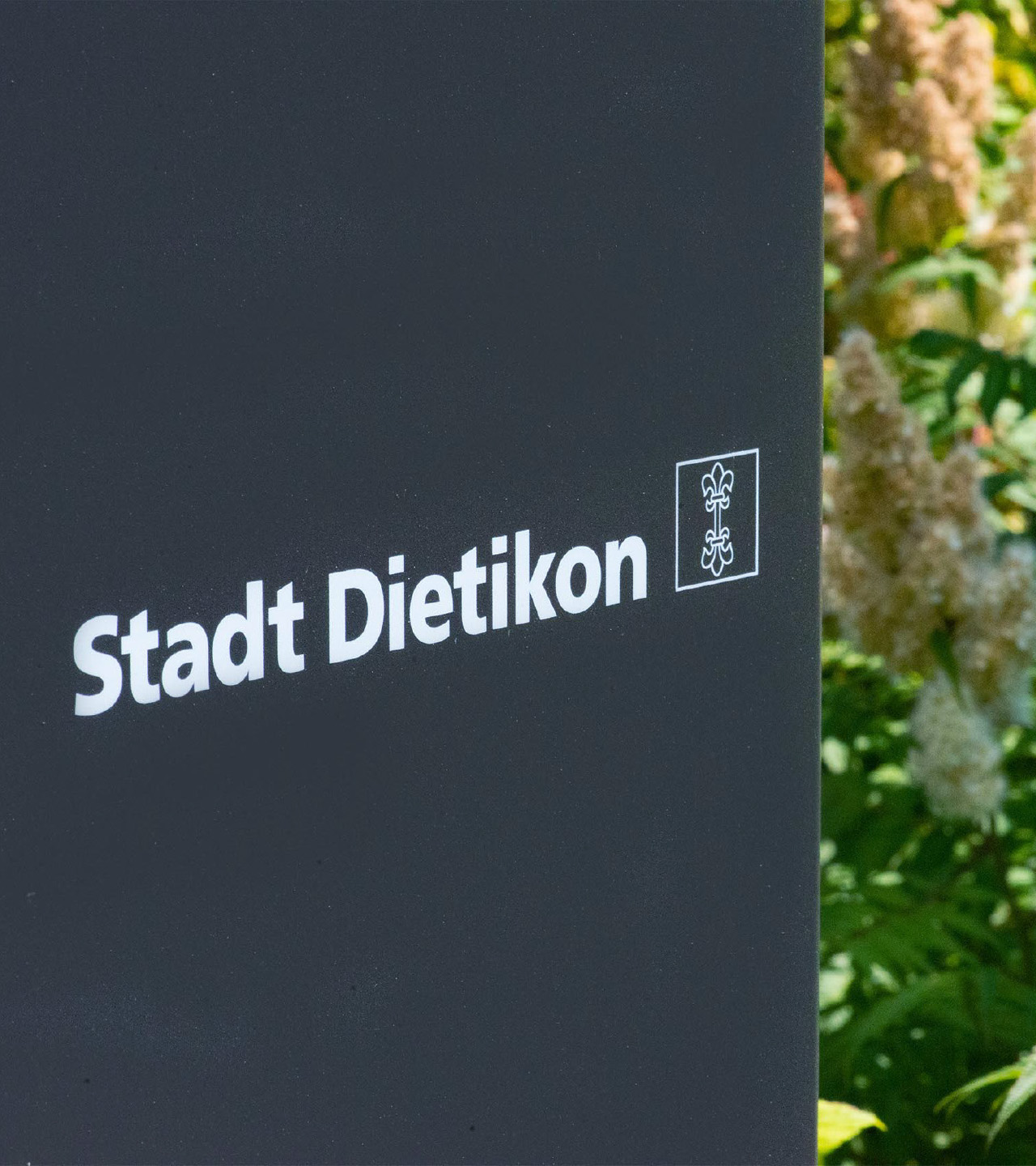 Dietikon_S_05_Desktop_20241217_m_ler