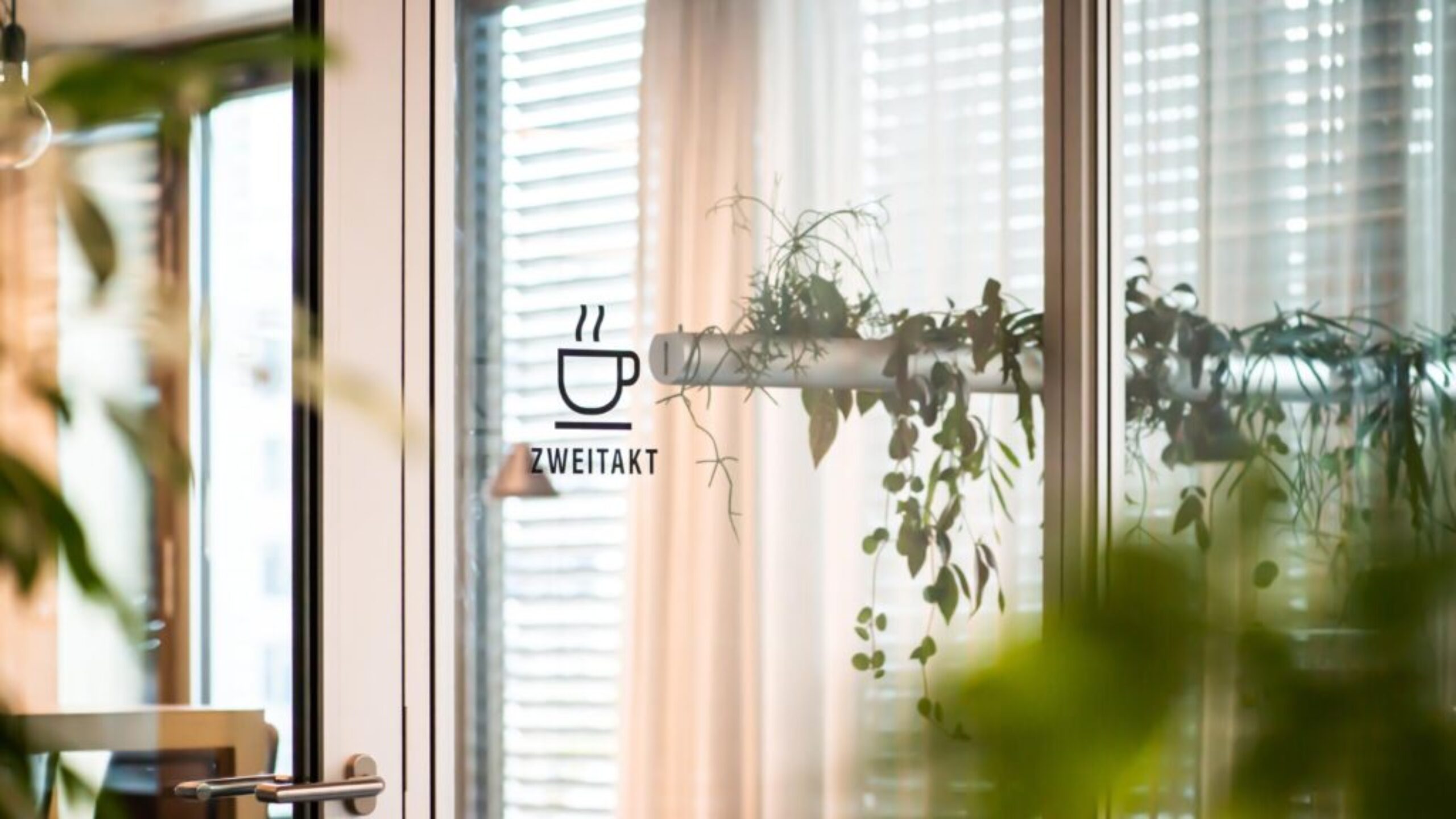 SWICA_Elefant_10_Desktop_20250108_m_ler