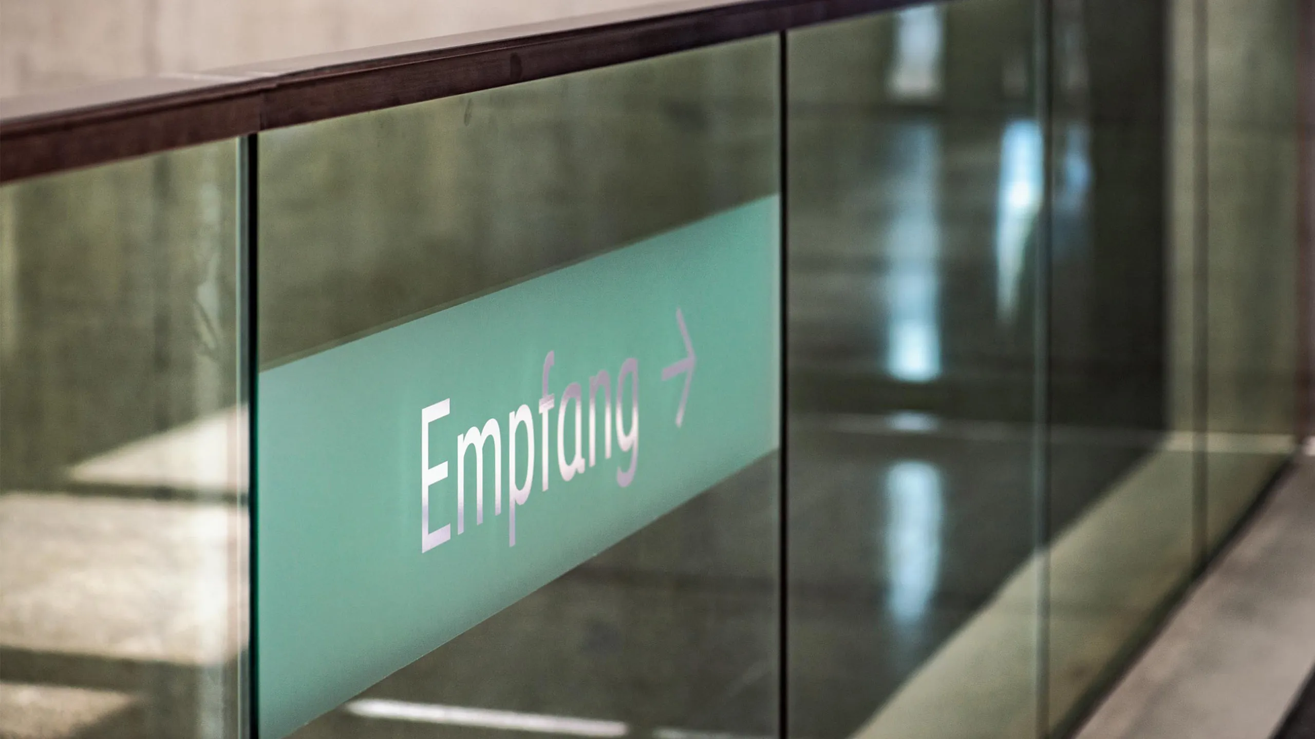 DinoCenter_S_04_Desktop_20241217_m_ler