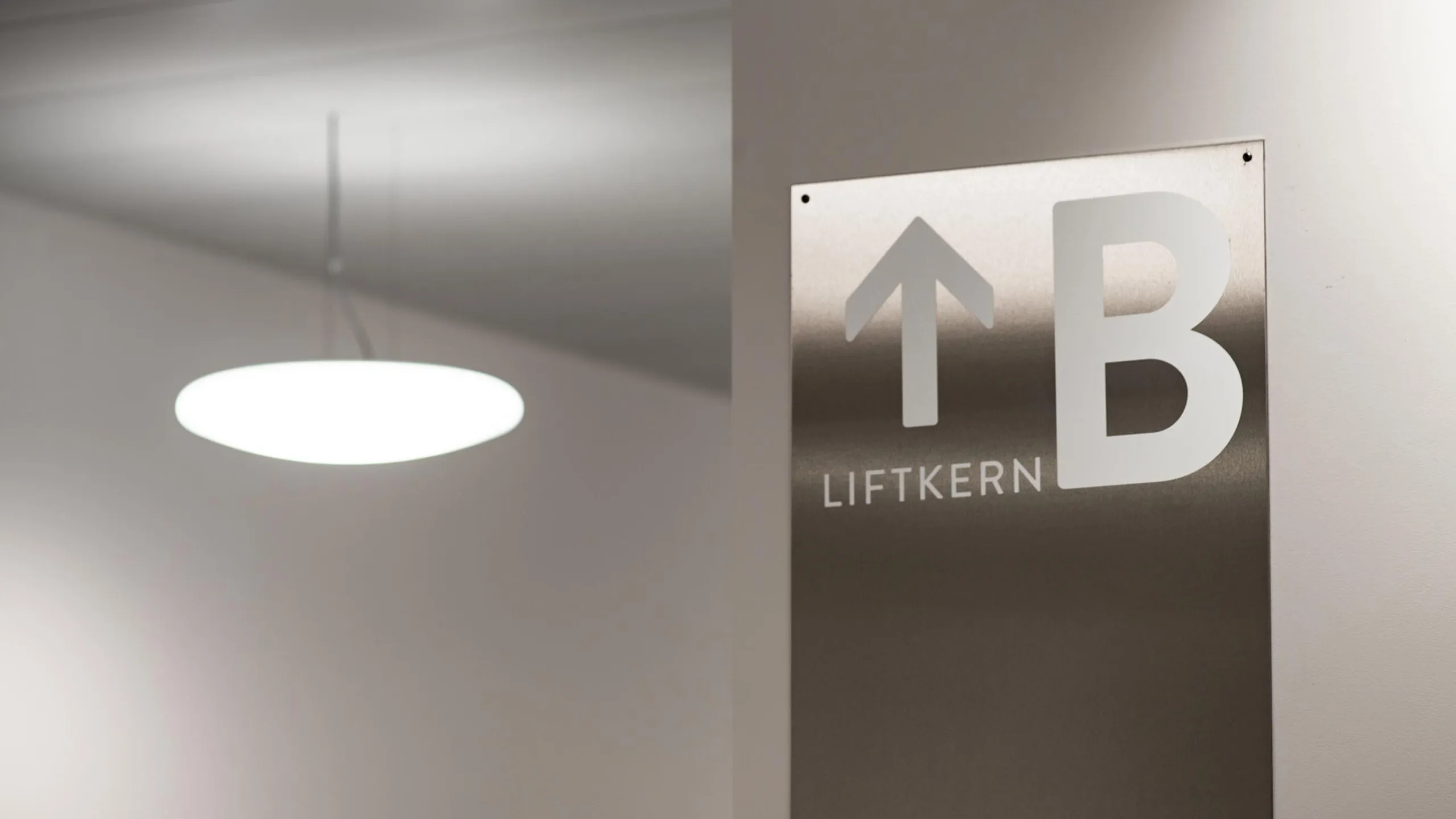 DinoCenter_S_11_Desktop_20241217_m_ler